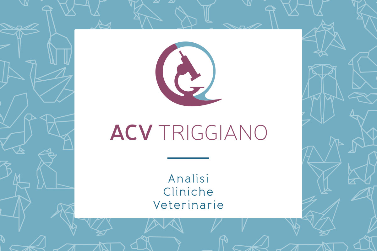 https://www.acvtriggiano.com/wp-content/uploads/2024/03/contatti-1.jpg